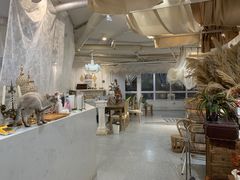 -共舞时光猫咖·狗咖(新街口店)