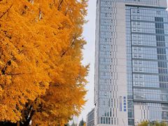 -四川大学华西第四医院