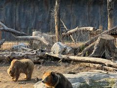 -武汉动物园
