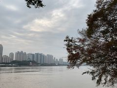 -江心屿景区