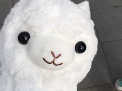 -LLJ夹机占(正佳广场店)
