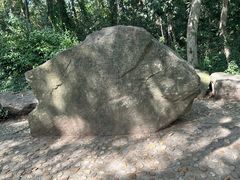 -上海佘山国家森林公园天马山园