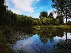 -东郊湿地公园
