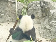 -武汉动物园