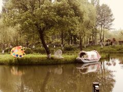 -青枫公园
