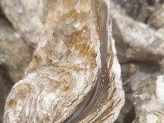 -香逸山自助火锅