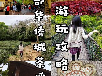 东部华侨城茶溪谷游玩攻略
