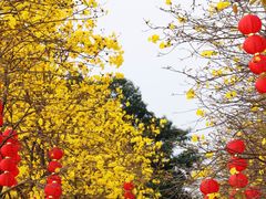 -洲头咀公园