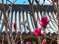 -舍利塔滩地公园-无垢净光舍利塔