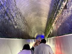 -青岛葡萄酒博物馆