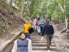 -灵顺寺