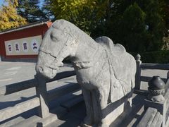 -洛阳白马寺