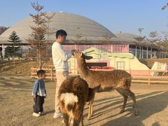 -盈香心动乐园