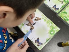 -上海昆虫博物馆