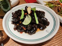 凉拌木耳-云海肴云南菜(正大广场店)