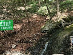 -本溪汤沟绿石谷森林公园