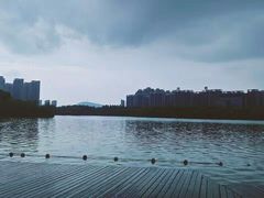 -天鹅湖体育公园