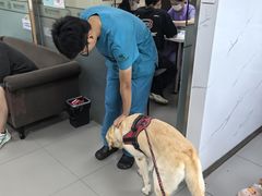 -瑞派宠物医院·24h·骨外科·皮肤科·全科宠物医疗转诊中心(沈阳浑南院)