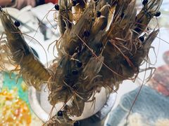 深水虾-泓炙颐凤鲜海鲜火锅料理(桐乡店)