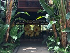 -厦门日月谷温泉渡假村