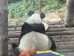 -大连森林动物园