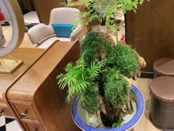 -木北护肤造型