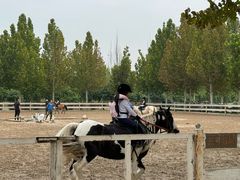 -北京群众马术培训基地