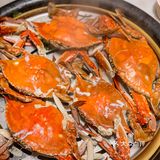 天津本地人推荐的海鲜店