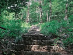 -青龙山国家森林公园