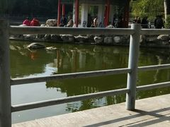 -莲湖公园