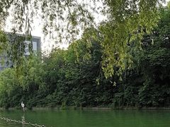 -天鹅湖体育公园