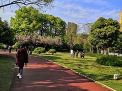 -杭州城北体育公园