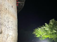 -福建土楼(南靖)景区