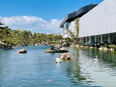 -罗红摄影艺术馆