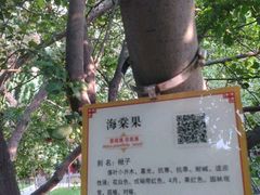 -碑林公园