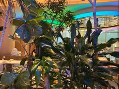 -桂满陇·杭州饭店(清河万象店)