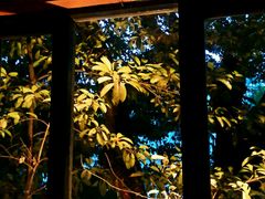 -花马天堂云南餐厅 Lost Heaven(高邮路店)