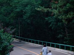 -棒棰岛宾馆景区