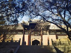 -善化寺