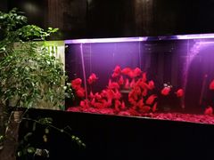 -大唐盲人按摩中心(黄山路店)