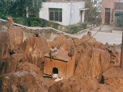 -昆明动物园
