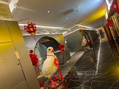 -琬苑鸽庄·川粤融合菜(解放碑总店)