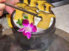 -鲜潭蒸汽石锅鱼(万象前海店)