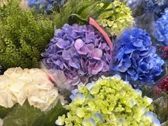 -双季花艺园艺市场(浦东店)