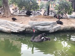 -灵玲国际马戏城