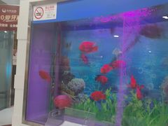 -雅悦齿科(顾村公园店)