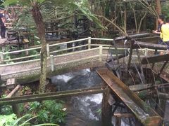 -德庆盘龙峡生态旅游区