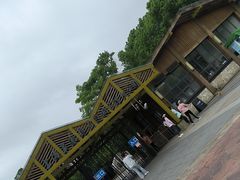 -吴淞炮台湾湿地森林公园烧烤区