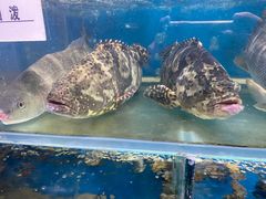 -吕氏疙瘩汤·私家菜馆(慈云寺店)