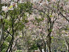 -四海公园(南山区)